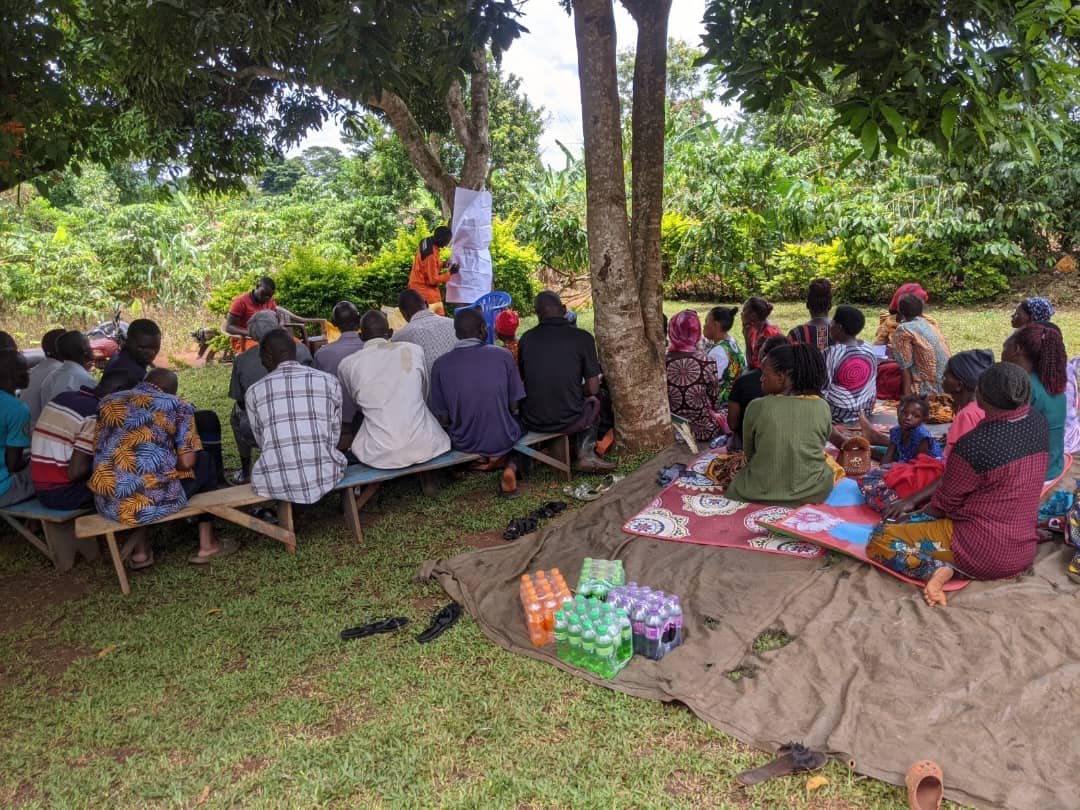Woman feeding chickens